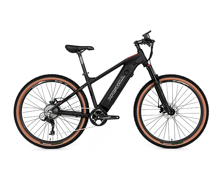 Hidden Battery Mountain Electric Bicycle 350W 500W Ebike