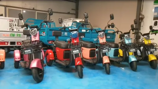 2023 Adult Tricycle Electric 3 Wheel Scooter for Old People and Handicapped Leisure Trike E-MARK Jinpeng OEM