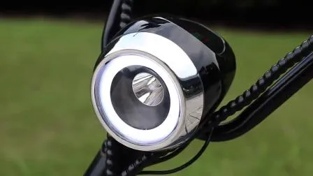 Electric Scooter with Removable Lithium Battery EEC Motorcycle