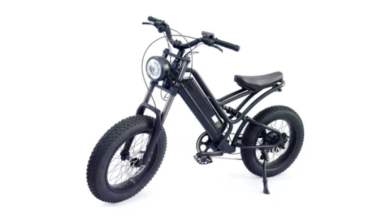 Pneu grosso 20*4.0 Masculino Mountain and Pendulares Quadro de alumínio Bicicleta Elétrica E-Bike
