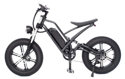 MID Drive Bafang Motor 7 velocidades MTB Fat Tire off Road Electric Mountain Full Suspension Snow Cruiser E Bike com bateria de lítio