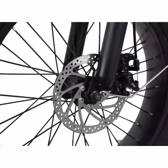 Bicicleta elétrica de alta qualidade com cubo duplo de 20 polegadas e motor de 1000 W, 20